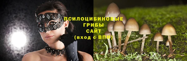 прущая мука Осинники