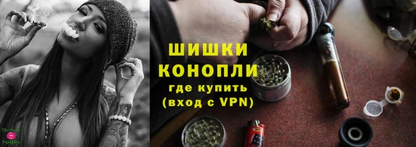 мдпв Осташков