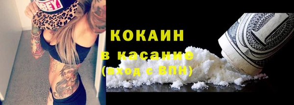 мдпв Осташков