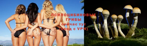 СК Остров