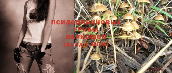 прущая мука Осинники