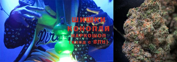 мдпв Осташков