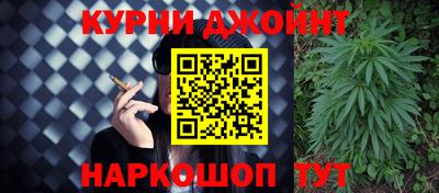 сатива Будённовск