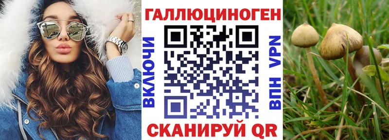 Галлюциногенные грибы MAGIC MUSHROOMS  Саки 